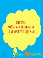 Bài giảng Pháp luật kinh tế: Chương 1  Phạm Hải Châu