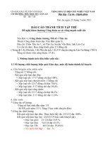 Báo cáo thành tích tập thể công đoàn đề nghị LDLĐ huyện khen