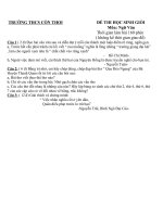 đề thi học sinh giỏi văn 8 3