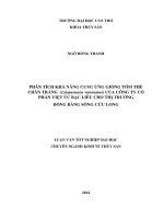 phân tích khả năng cung ứng giống tôm thẻ chân trắng (litopenaeus vannamei) của công ty cổ phần việt úc bạc liêu cho thị trường đồng bằng sông cửu long