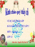 Bài giảng tiếng việt 5 tuần 20 bài cánh cam lạc mẹ5 