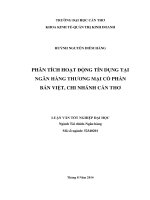 phân tích hoạt động tín dụng tại ngân hàng thương mại cổ phần bản việt, chi nhánh cần thơ