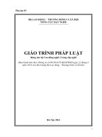 GIÁO TRÌNH PHÁP LUẬT