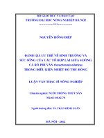 Đánh giá ưu thế về sinh trưởng và sức sống của các tổ hợp lai giữa 4 dòng cá rô phi vằn oreochromis niloticus trong điều kiện nhiệt độ thu đông 