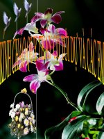 bài 32.địa lí các ngành công nghiệp(tt)