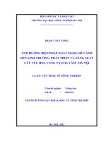 Ảnh hưởng biện pháp ngắt ngọn, đè cành đến sinh trưởng, phát triển và năng suất cây cúc hoa vàng tại gia lâm   hà nội 