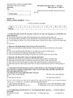 Đề + Đáp án học kì 2, lớp 11