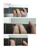 Các thế bấm SI thứ