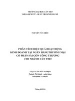 phân tích hiệu quả hoạt động kinh doanh tại ngân hàng thương mại cổ phần sài gòn công thương chi nhánh cần thơ