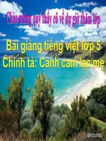 Bài giảng tiếng việt 5 tuần 20 bài cánh cam lạc mẹ6 
