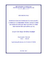 Đánh giá năng suất sinh sản của nái lai giữa landrace và yorkshire với đực ngoại và hiệu quả kinh tế nuôi lợn thịt tại công ty TNHH một thành viên lợn giống lạc vệ 