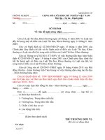 Mẫu báo cáo Thu đua cuối năm