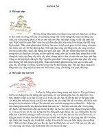 Dáng và ý nghĩa của cây thế