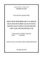 Phân tích tình hình cho vay khách hàng doanh nghiệp tại ngân hàng TMCP ngoại thương việt nam, chi nhánh đăk lăk 