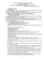 BAO CAO TOM TAT KET QUA THI DUA NAM 2010 2011