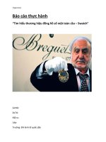 phân tích chiến lược kinh doanh của swatch - quản trị chiến lược