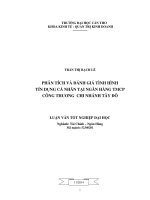 phân tích và đánh giá tình hình tín dụng cá nhân tại ngân hàng tmcp công thương chi nhánh tây đô