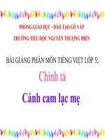 Bài giảng tiếng việt 5 tuần 20 bài cánh cam lạc mẹ4 