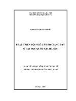 Phát triển đội ngũ cán bộ giảng dạy ở đại học quốc gia hà nội 
