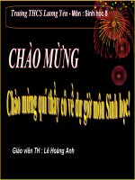 Tiết 26  Bài 25: Tiêu hóa ở khoang miệng