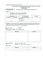 Đề MTCT THPT cấp tỉnh môn Toán năm 2011