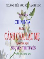 Bài giảng tiếng việt 5 tuần 20 bài cánh cam lạc mẹ2 