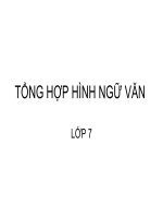 Hình SGK NGữ văn 7