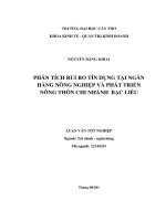 phân tích rủi ro tín dụng tại ngân hàng nông nghiệp và phát triển nông thôn chi nhánh bạc liêu