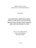 giải pháp phát triển hoạt động cho vay tiêu dùng tại ngân hàng thương mại cổ phần công thương việt nam chi nhánh cần thơ
