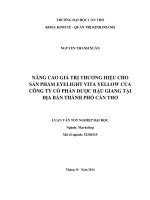 nâng cao giá trị thương hiệu cho sản phẩm eyelight vita yellow của công ty cổ phần dược hậu giang tại địa bàn thành phố cần thơ