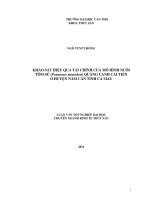 khảo sát hiệu quả tài chính của mô hình nuôi tôm sú (penaneus monodon) quảng canh cải tiến ở huyện năm căn tỉnh cà mau