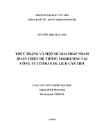 thực trạng và một số giải pháp nhằm hoàn thiện hệ thống marketing tại công ty cổ phần du lịch cần thơ
