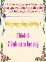 Bài giảng tiếng việt 5 tuần 20 bài cánh cam lạc mẹ 