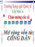 Bài giảng tiếng việt 5 tuần 20 bài mở rộng vốn từ công dân7 