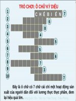 Trò chơ ô chữ thông minh