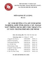 Sự ảnh hưởng của số năm kinh nghiệm, giới tính, bằng cấp, ngoại ngữ thông dụng đến thu nhập của cư dân thành phố hồ chí minh