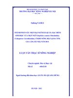 Thành phần sâu mọt hại ngô bảo quản, đặc điểm sinh học của mọt ngô sitophilus motschlsky (coleoptera curculionidae), ở kho nông hộ tại đa tốn, gia lâm, hà nội năm 2011 