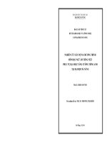 NGHIÊN CỨU XÂY DỰNG CHƯƠNG TRÌNH  MÔ HỌC NGỮ ÂM TIẾNG VIỆT PHỤC VỤ DẠY HỌC TĂNG CƯỜNG TIẾNG ANH TẠI ĐẠI HỌC ĐÀ NẴNG