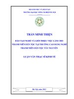Đào tạo nghề và giới thiệu việc làm cho thanh niên dân tộc tại trường cao đẳng nghề thanh niên dân tộc tây nguyên 