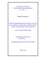 Một số đặc điểm sinh học, sinh thái học của sâu non bọ nhảy phyllotreta striolata fabr  hại trên rau họ hoa thập tự vụ thu đông 2011 tại gia lâm, hà nội 