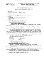 bao cao thanh tich ca nhan danh hieu DVCD xuat sac