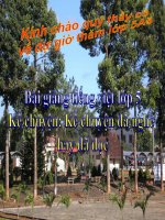 Bài giảng tiếng việt 5 tuần 20 bài kể chuyện đã nghe đã đọc11 