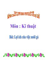 Lio ich cua viec nuoi ga