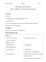 Giáo án tiếng việt 5 tuần 20 bài cánh cam lạc mẹ2 