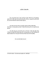 Phát triển cho vay tiêu dùng tại ngân hàng ngoài quốc doanh việt nam hải phòng