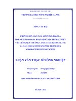 Chuyển gen mẫn cảm auxin ino rolb và sinh auxin ino iaam hoạt động đặc thù bầu nhuỵ vào giống quýt đường canh (citrus reticulata) và cam vinh (citrus sinensis) thông qua agrobacterrium tumefaciens 