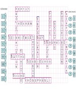 Trò chơi ô chữ 2