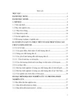 Nghiên cứu giải pháp nâng cao chất lượng dân số trên địa bàn Huyện Gia Lâm”.