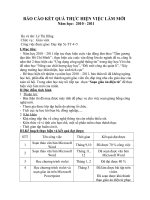 bao cao ket qua viec làm moi