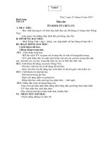 Tuần 1: Ổn định tổ chức